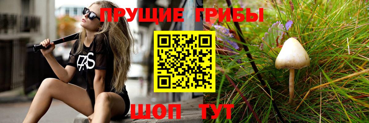 купить наркотики цена  Вход с VPN  Менделеевск  Галлюциногенные грибы Cubensis 